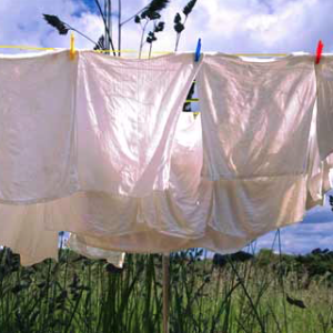 Photo of cloth diapers on a washing line