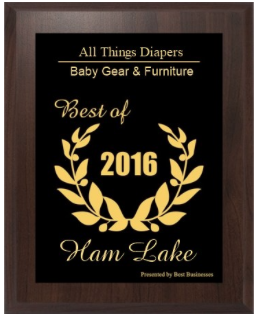 Best Baby gear award for Ham Lake 2016